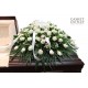 White Peaceful (FFCS70)