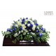 Blue Garden (FFCS32)