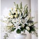 Sympathy Flowers | Funeral Arrangements Flowers | Toronto's Online Outlet