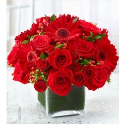 Funeral Sympathy Flowers | Toronto's Online Outlet
