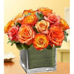 Funeral Sympathy Flowers | Toronto's Online Outlet