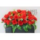 Saddle Silk Flower (SFS10)