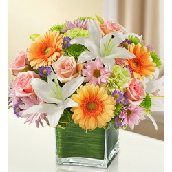 Funeral Sympathy Flowers | Toronto's Online Outlet