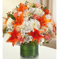 Funeral Sympathy Flowers | Toronto's Online Outlet