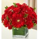 Funeral Sympathy Flowers | Toronto's Online Outlet