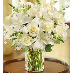 Funeral Sympathy Flowers | Toronto's Online Outlet