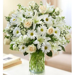 Funeral Sympathy Flowers | Toronto's Online Outlet