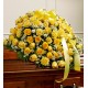 Sunny Bright (FFCS50)