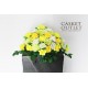 Saddle Silk Flower (SFS11)