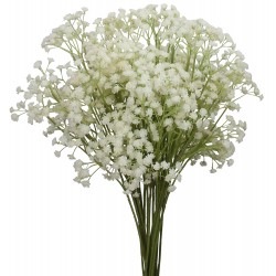 Gypsophila Baby's Breath (FFWGB1)
