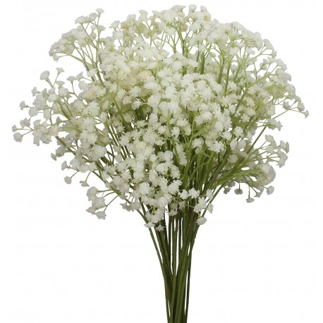 Gypsophila Baby's Breath (FFWGB1)