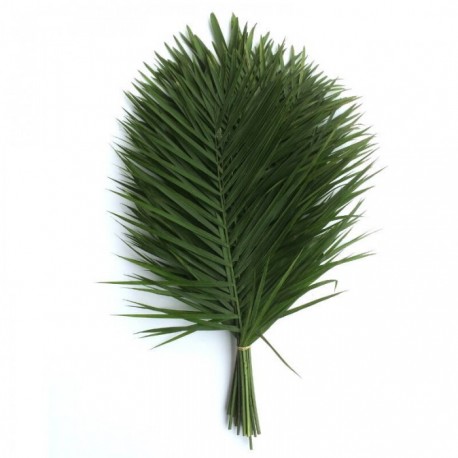 Teepee Green Leaf (FFWTL1)