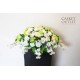 Saddle Flower, Cemetery Flower, Monument Flower