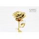 Cremation Jewelry Keepsake Urn