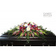 Memory Garden In Mind (FFCS84)
