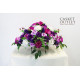 Saddle Flower, Cemetery Flower (SFS28)