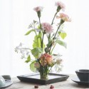 Carnations