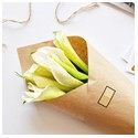 Fresh Flowers Retail & Wholesale