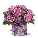 Any Occasion